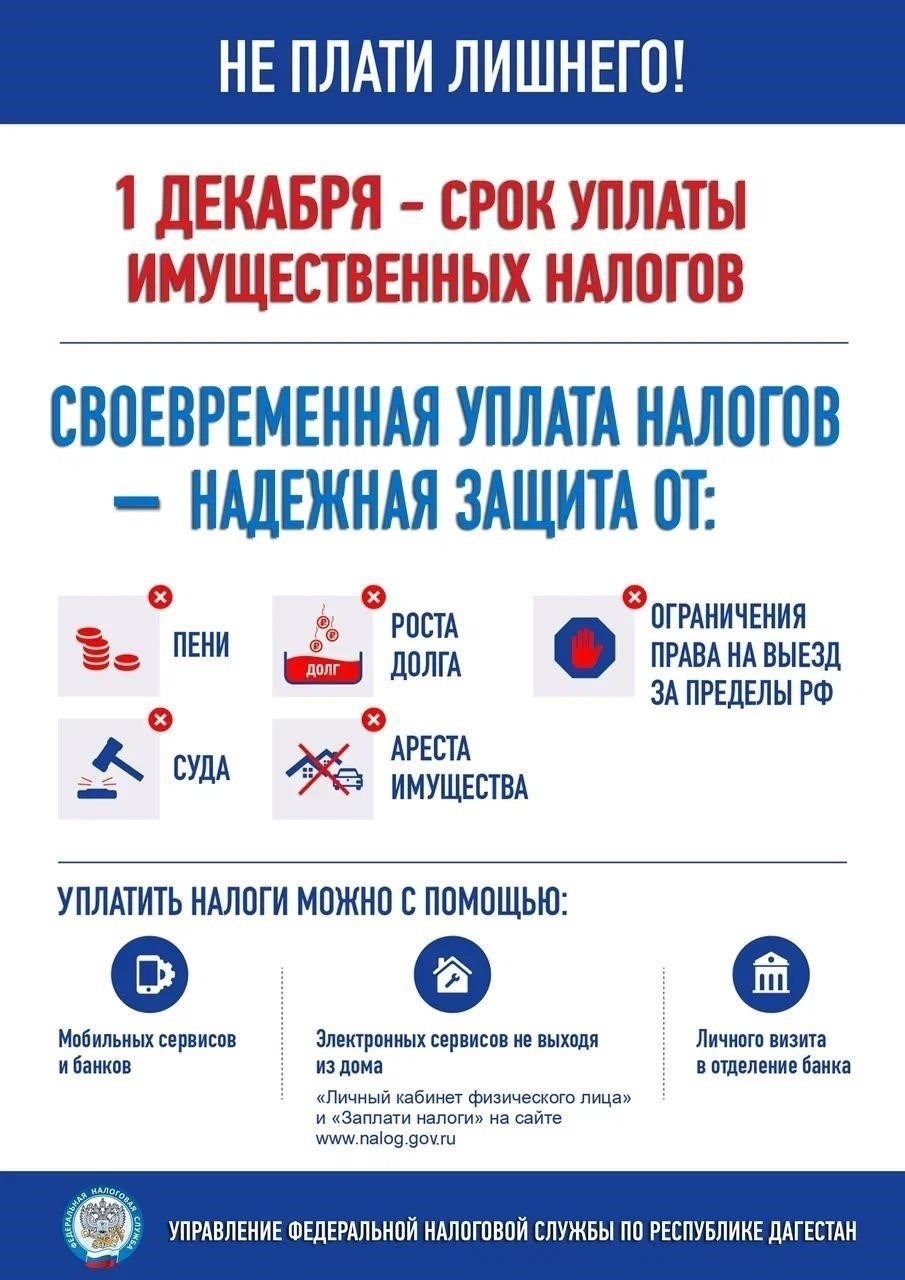 Основные сроки уплаты налога на имущество в Дагестане