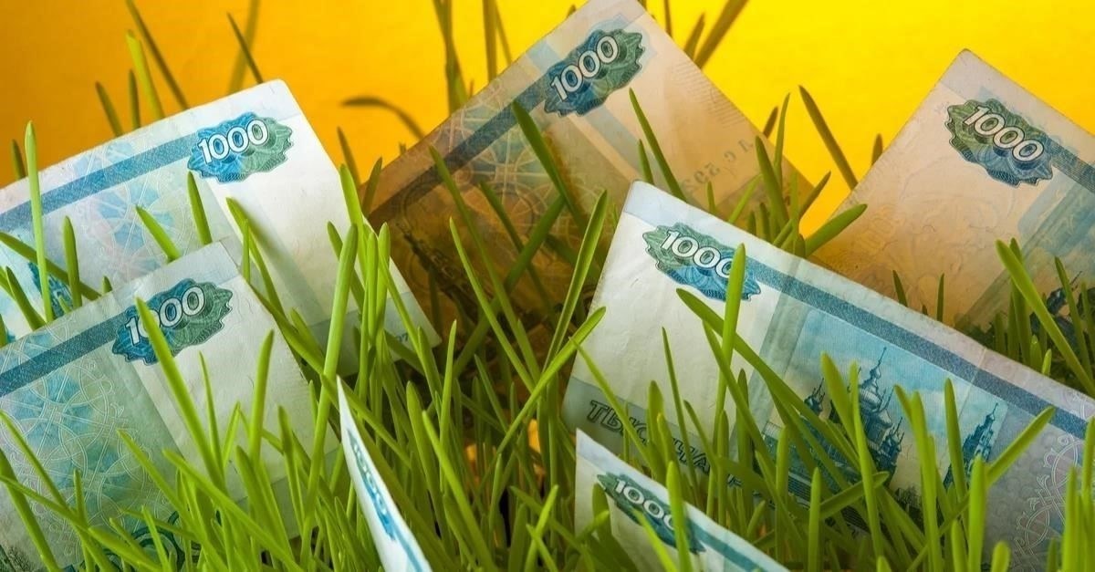 Членские взносы и сборы в садоводческих клубах