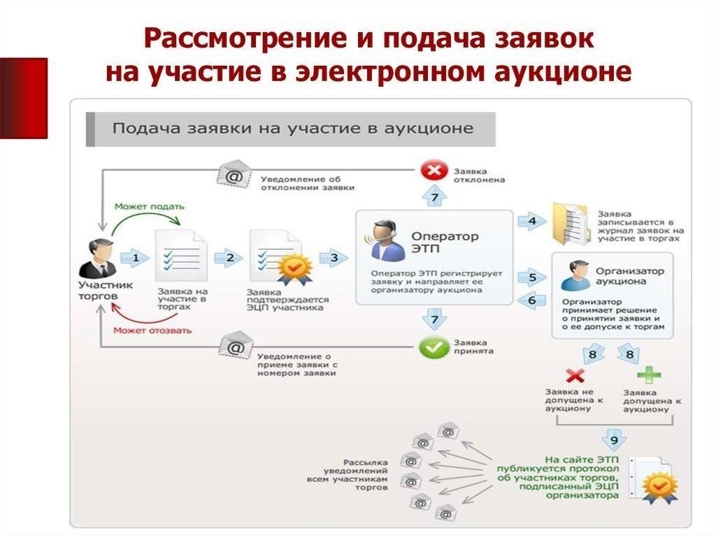 Как принять участие в открытом электронном аукционе: Пошаговое руководство для поставщиков