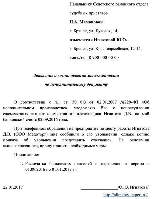 Подробности судебного решения о задолженности по алиментам