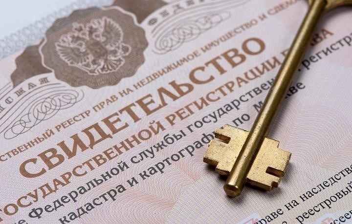 Понимание юридического процесса передачи права собственности на землю в Выборге