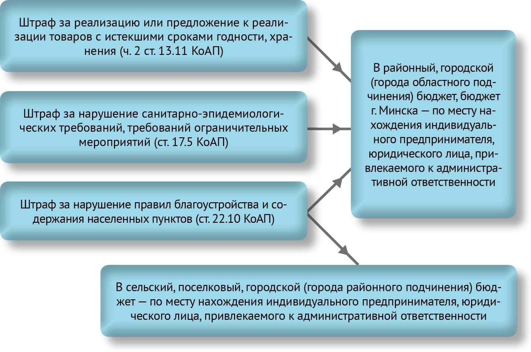 Понимание правовых оснований для прекращения исполнения постановлений о наложении административного штрафа