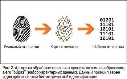 Понимание применения двузначных и буквенных кодов при идентификации личности