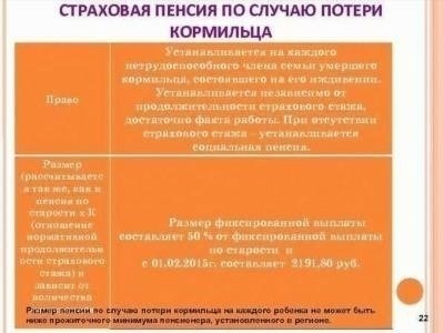 Понимание рисков лишения прав для кормильцев семьи