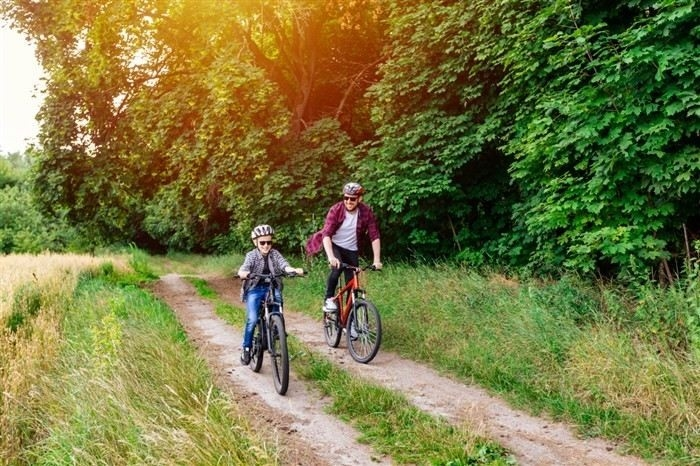 Сроки и этапы рассмотрения заявления на расторжение брака через суд