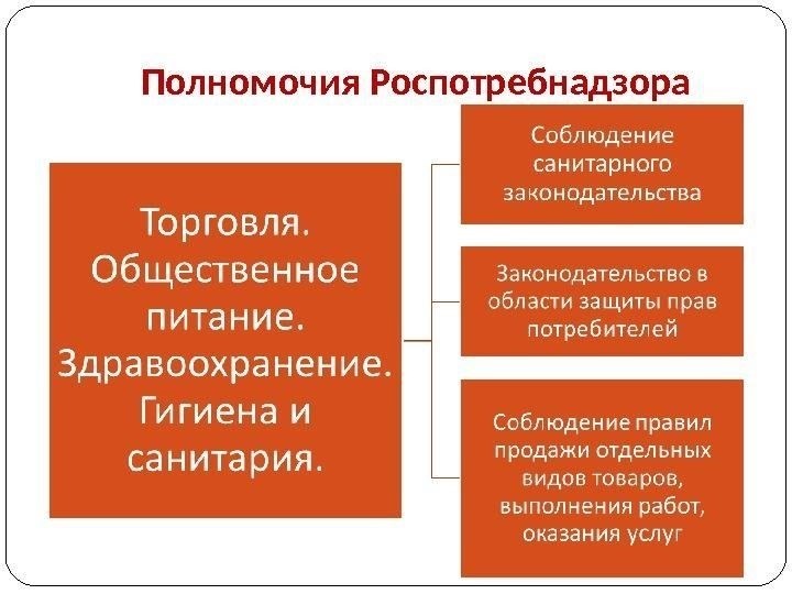 Роль Роспотребнадзора в обеспечении защиты прав потребителей