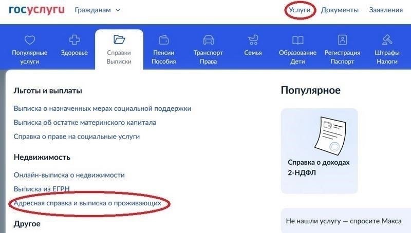 Справка может быть получена через официальный онлайн-портал или через местные органы власти. Для получения справки вам необходимо знать особые требования, такие как информация о вашем счете и сведения об использовании капитала на данный момент. Документ будет доступен для скачивания или может быть отправлен на ваш юридический адрес по запросу.