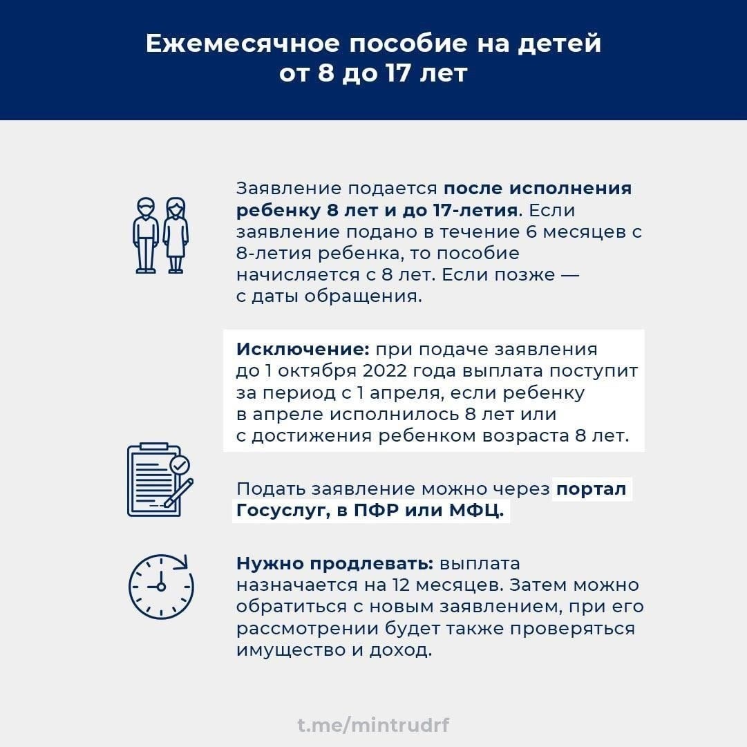 Сроки и что ожидать после подачи заявления